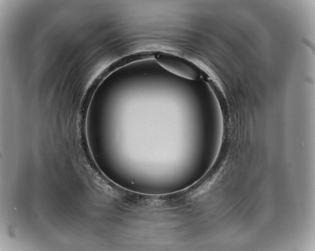X0000098220783200804241343