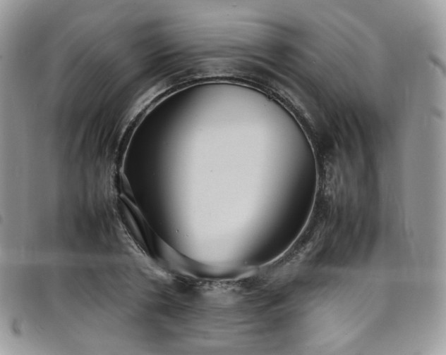X0000098220786200804241343