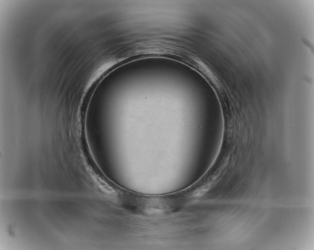 X0000098220787200804241343