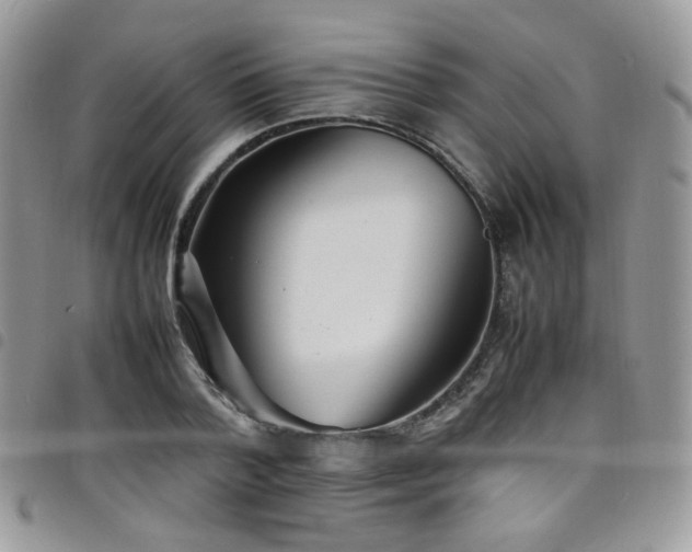 X0000098220788200804241343