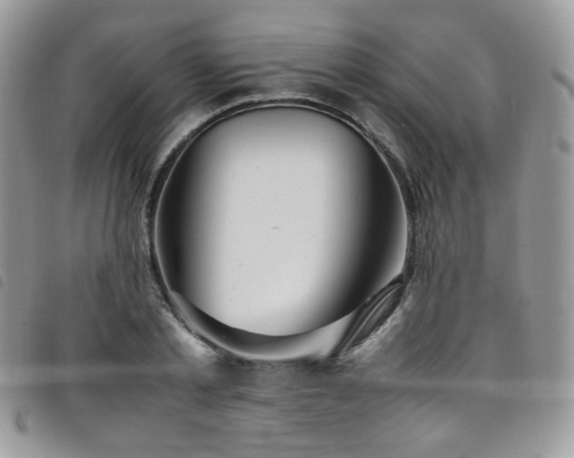 X0000098220789200804241343