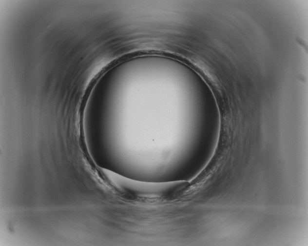 X0000098220791200804241342