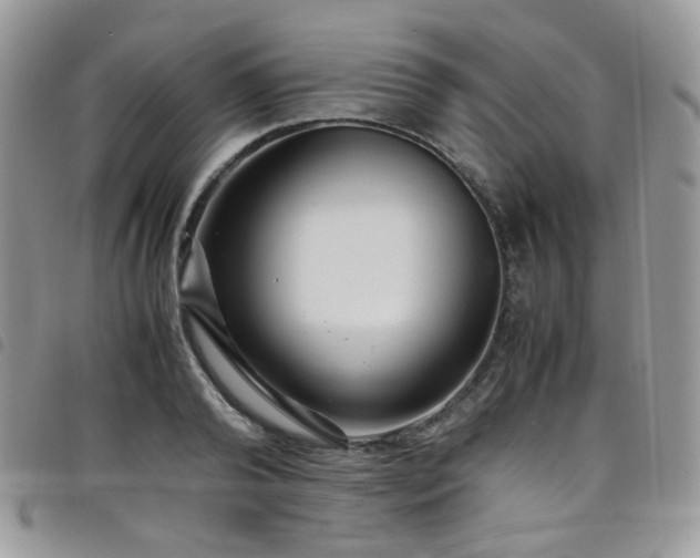 X0000098220792200804241342