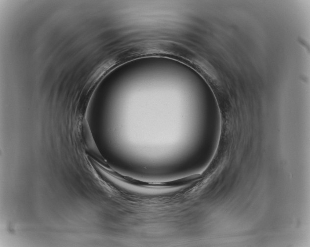 X0000098220793200804241342