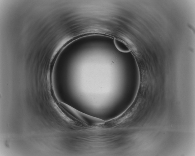 X0000098220796200804241342