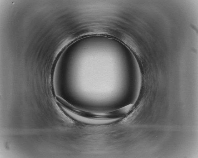 X0000098220797200804241342