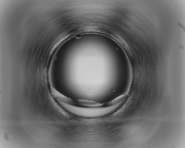 X0000098220798200804241342