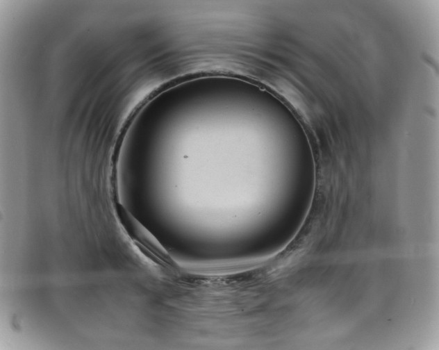 X0000098220799200804241342