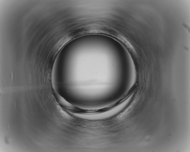 X0000098220801200804241342