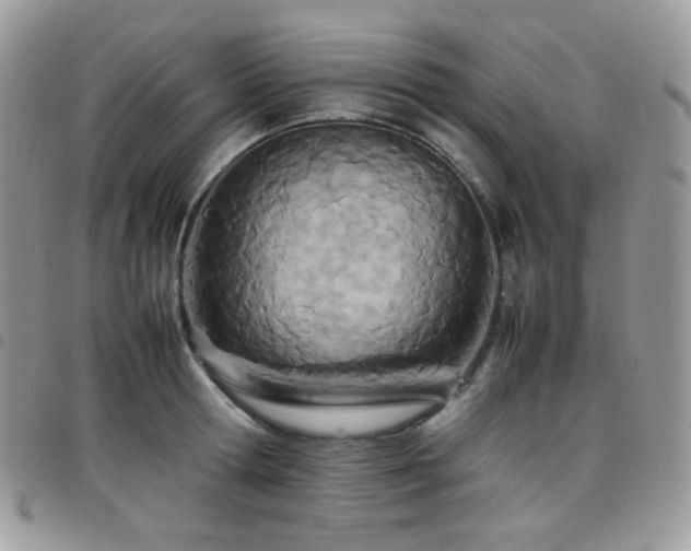 X0000098220802200804241342