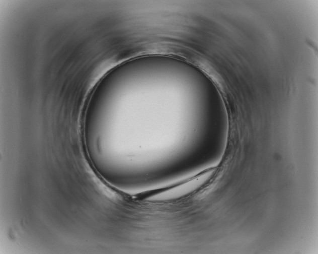X0000098220803200804241342