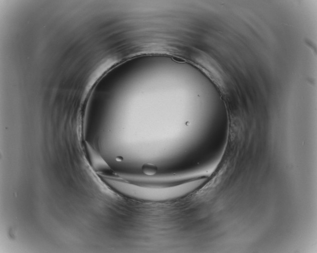 X0000098220804200804241342