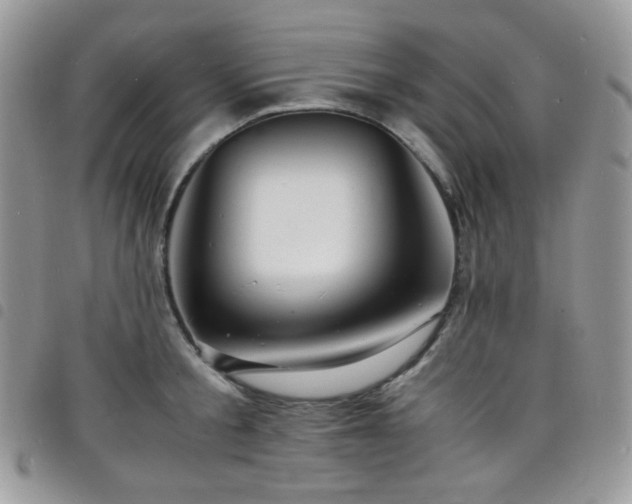 X0000098220805200804241342