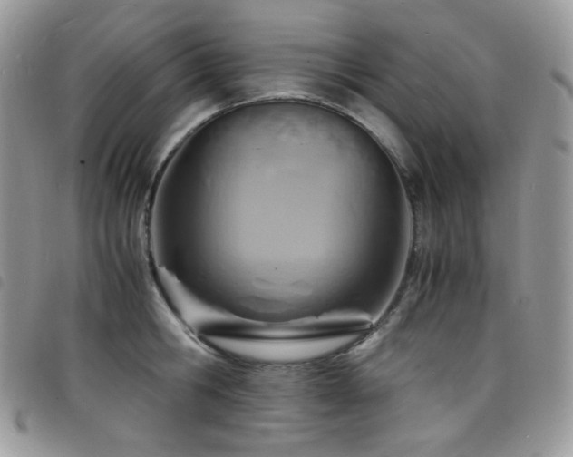 X0000098220806200804241342