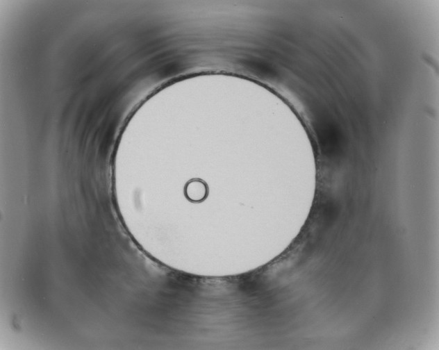 X0000098220807200804241342