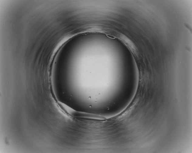 X0000098220808200804241342