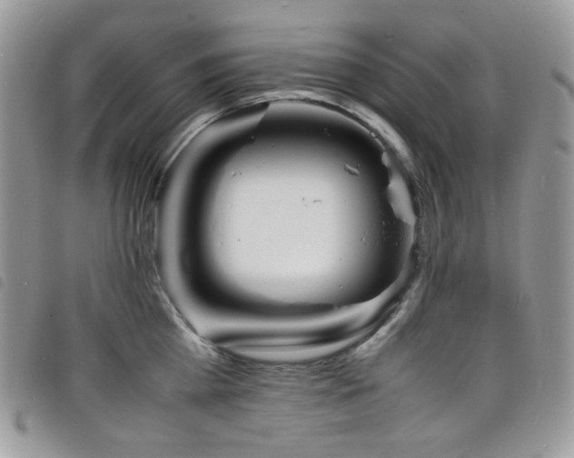X0000098220809200804241342
