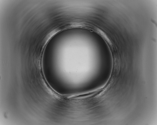 X0000098220810200804241342