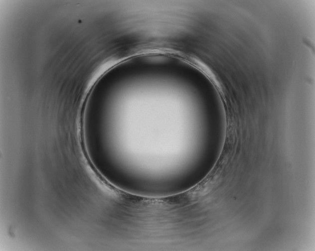 X0000098220811200804241342