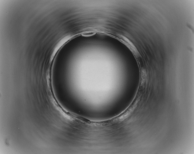 X0000098220812200804241342