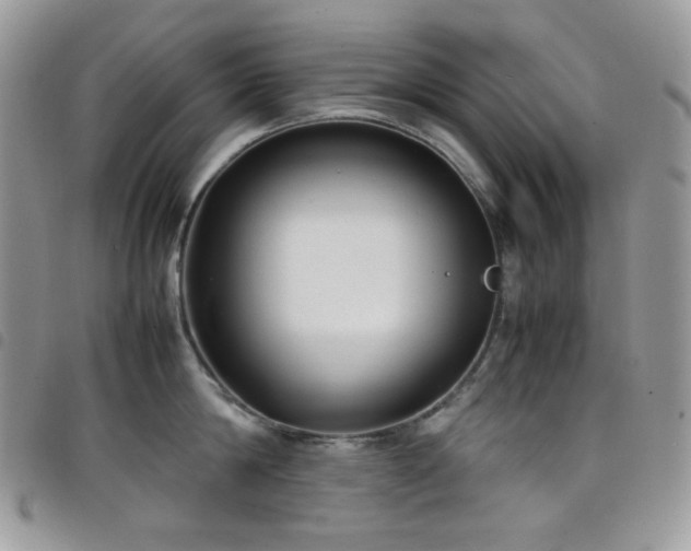 X0000098220814200804241342