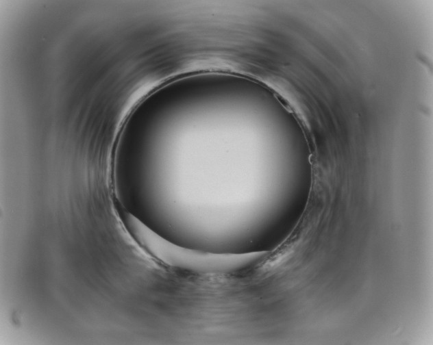 X0000098220815200804241342