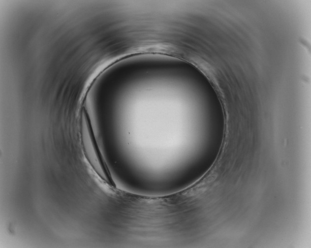 X0000098220816200804241342