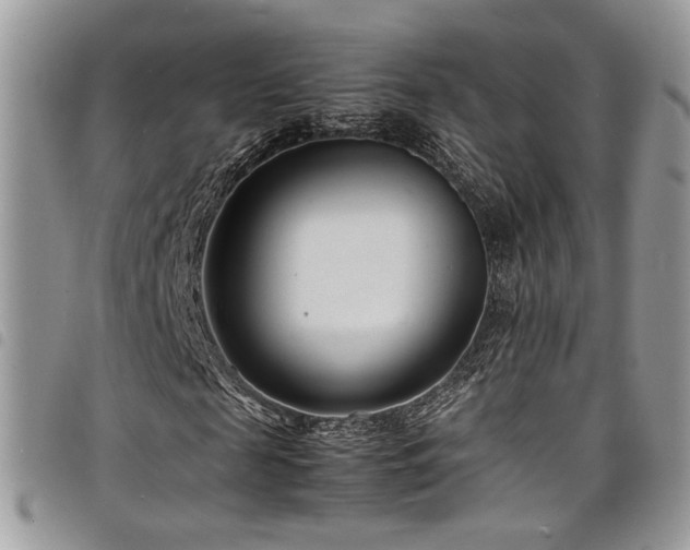 X0000098220817200804241341