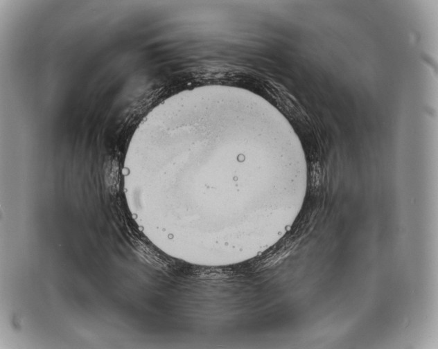 X0000098220820200804241341