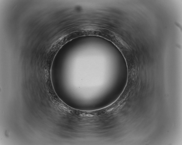 X0000098220821200804241341