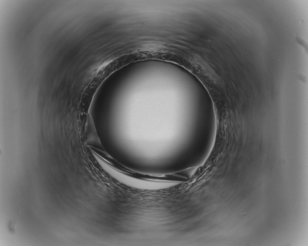X0000098220822200804241341
