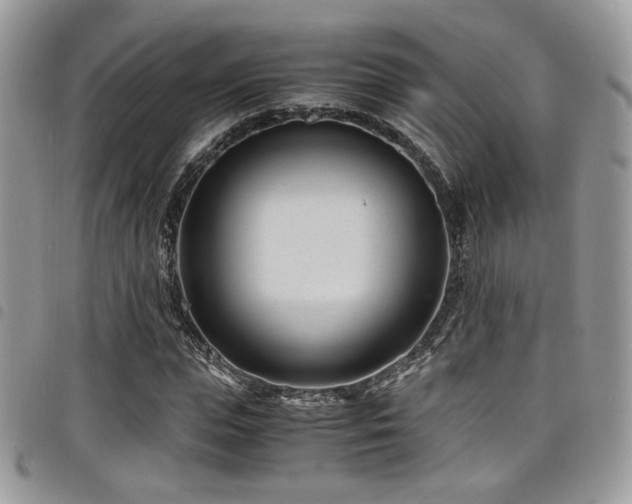 X0000098220823200804241342