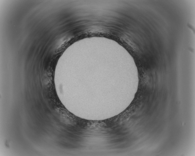 X0000098220824200804241342
