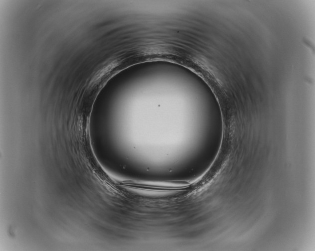 X0000098220825200804241342