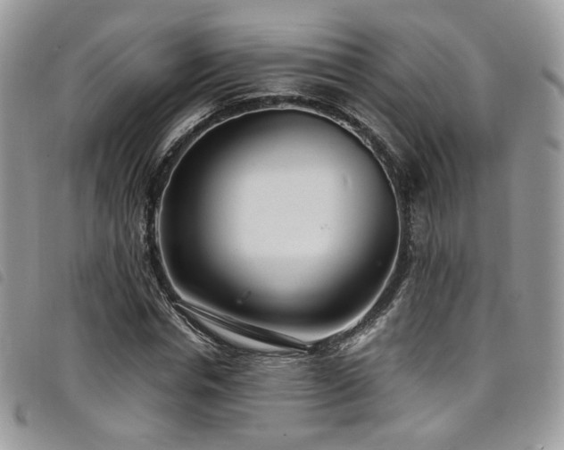 X0000098220826200804241342
