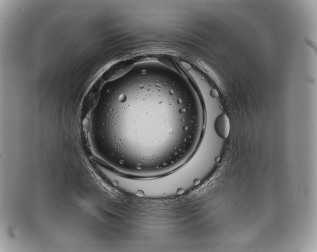 X0000098220828200804241342