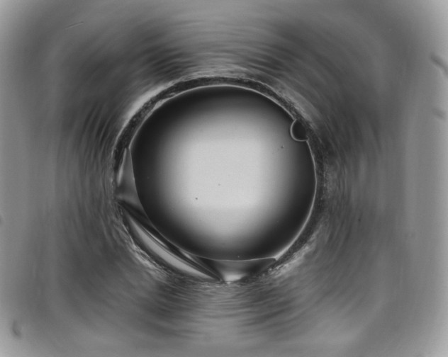 X0000098220830200804241342