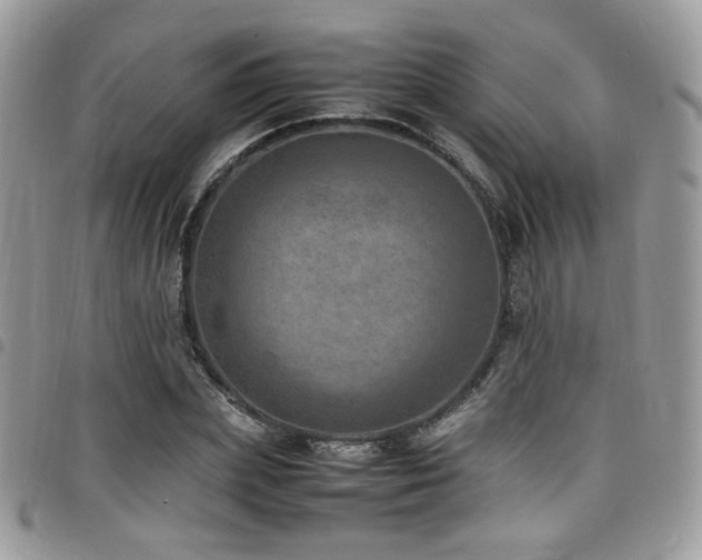 X0000098220831200804241342
