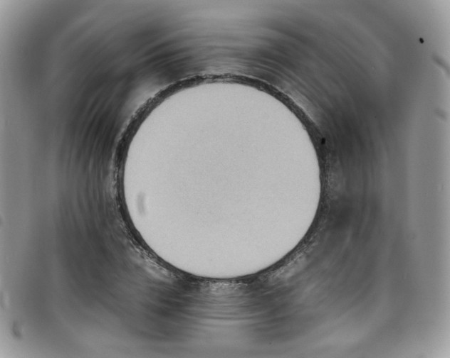 X0000098220832200804241342