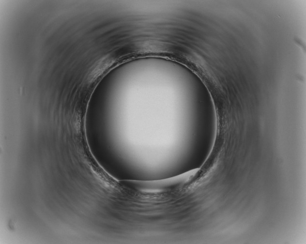 X0000098220833200804241342