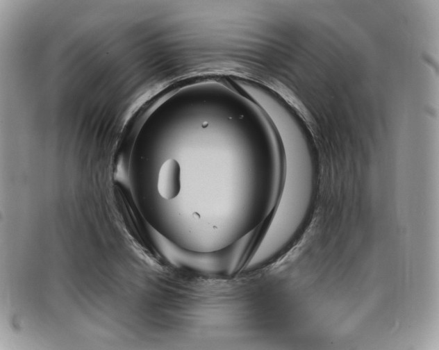 X0000098220834200804241342