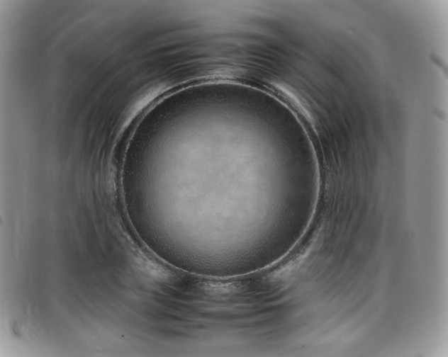 X0000098220835200804241342