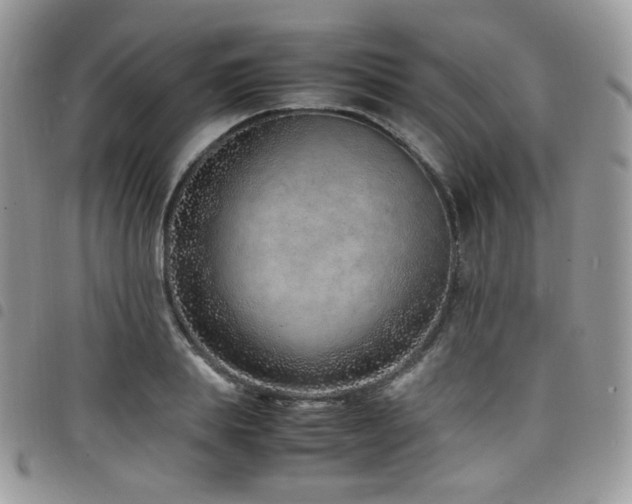 X0000098220839200804241342