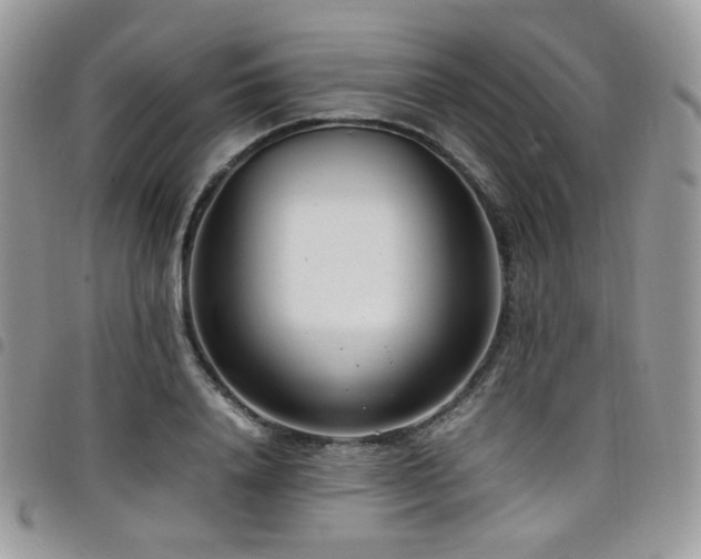 X0000098220840200804241342