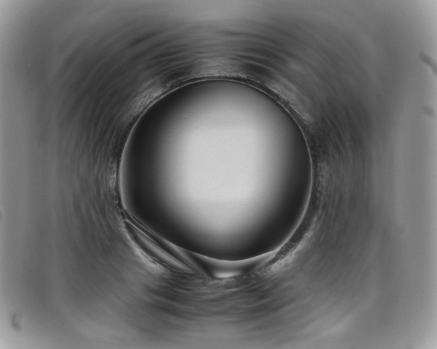X0000098220841200804241342