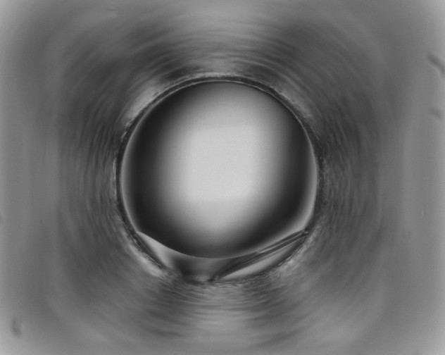 X0000098220842200804241342