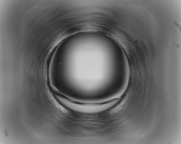 X0000098220843200804241342