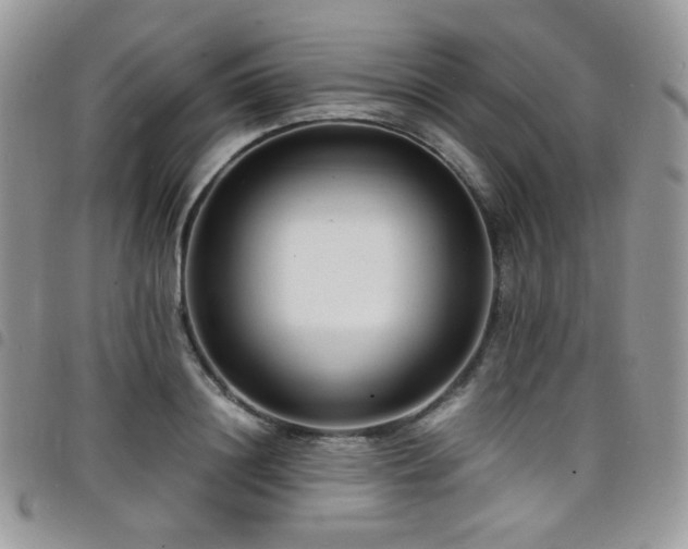 X0000098220844200804241342