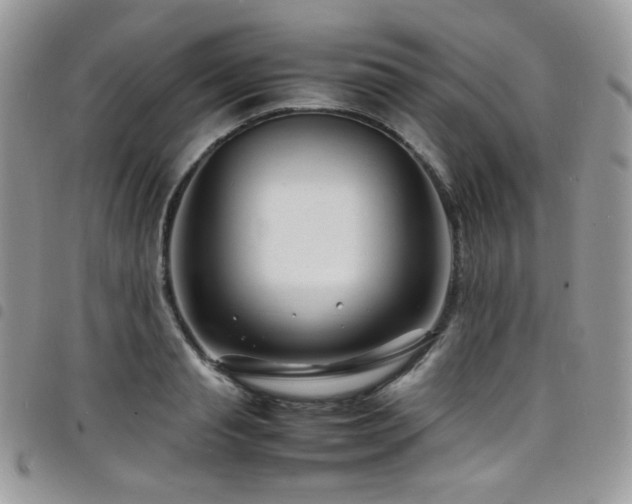 X0000098220845200804241342