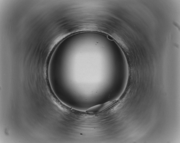 X0000098220846200804241342